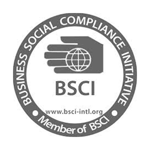 BSCI Logo